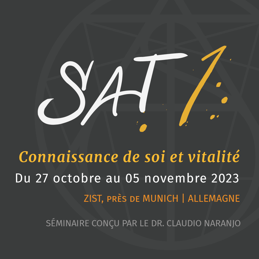 SAT France Allemagne. SAT 1