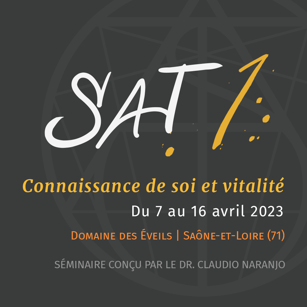 SAT France Allemagne. SAT 1