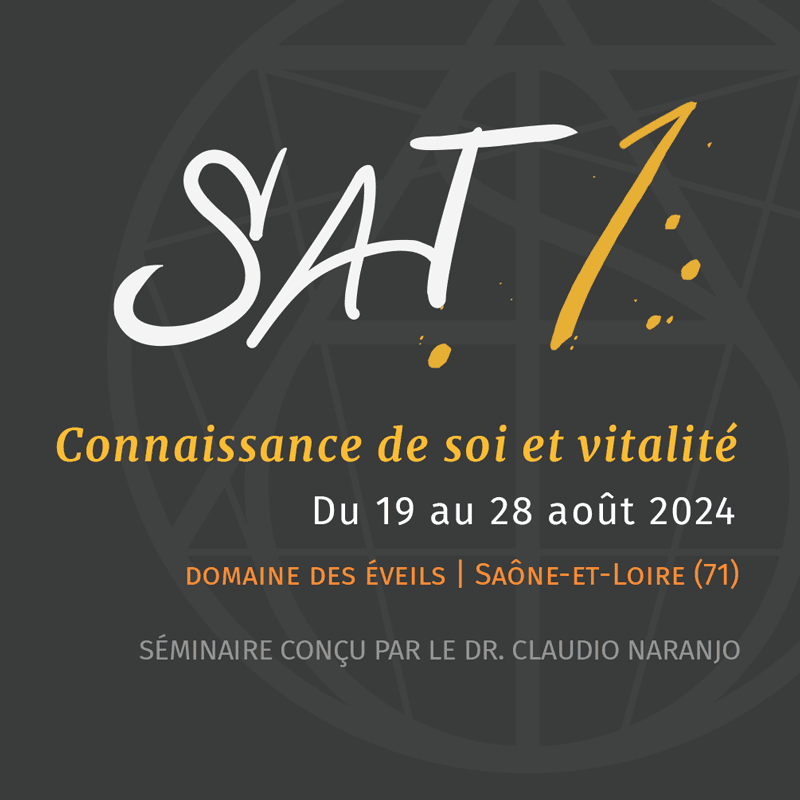 Ennéagramme de la personnalité - SAT 1 - Connaissance de soi et vitalité. SAT France Allemagne